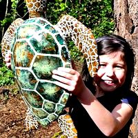 Whole Lotta Honu