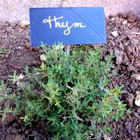 Etiquette for the garden / Etiquette for the garden