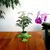 3 small Plant Pots (short, medium & long)