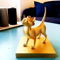 Trophy - The Golden Kittens