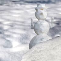 Day 21: The snowman
