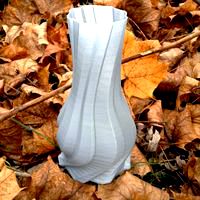 Freeform Vase 2