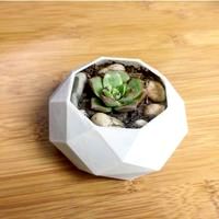 Lowpoly Planter
