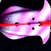 Squid GoCam - for GoPro type cameras