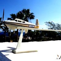 Touristic plane