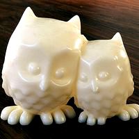 Cuddling Owls