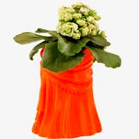 Dress Planter