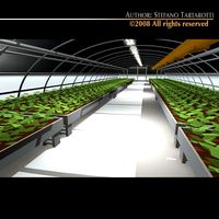 Greenhouse 3D Model