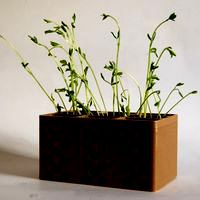Pen and plant holder