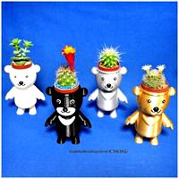 BEAR BRAVO Potted plants