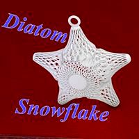 Diatom snowflake
