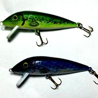 Topwater Fishing Lure
