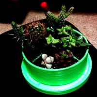 Planter2 &amp; Tray2