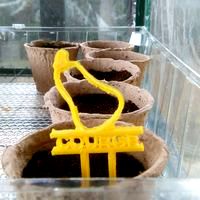 Sowing indicator courge