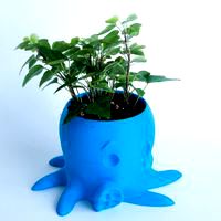 Octopus Planter