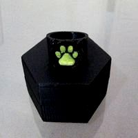 Chat Noir's Ring