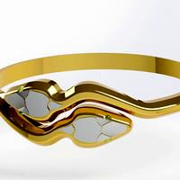 Luxury Ring
