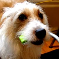 20x50x10 mm - 10 cubic centimetres volume calculation part