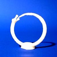 Seej Guardian, Ouroboros