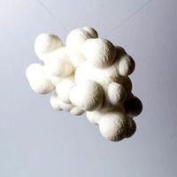 Glucose molecule