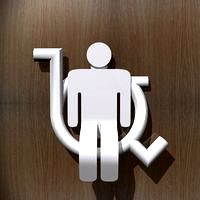 Toilet Room Sign - Accessible