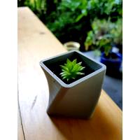 Spiral Pot