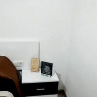 HALFTONE Elvis Presley