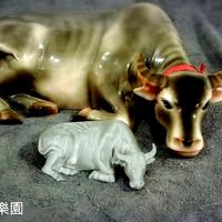 Taiwan Water buffalo (3D scan)台灣水牛