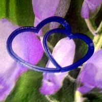 the cookie cutter for Valentine's day
