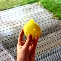 Ocarina