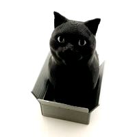 Schrodinky!:(dual extrusion version)