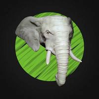African Elephant Head - High Poly