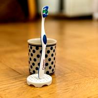 Toothbrush yuck protector