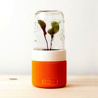 GROWW. the minimal greenhouse