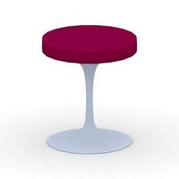0100 - Stool