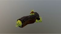 Forest Log Scene