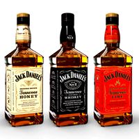 Jack Daniels Bottle Set