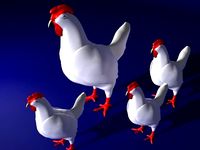 3d Hen