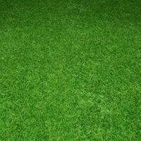 ground grass tile 2