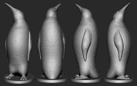 Pinguin | 3D