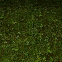 ground grass tile 0