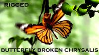 butterfly broken chrysalis