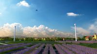 lavender