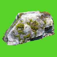 Randy Moss Rock