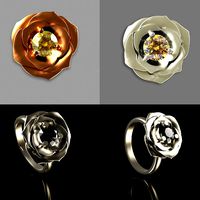 Ring Flower | 3D