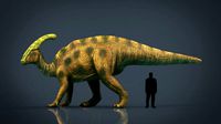 Tsintaosaurus