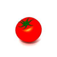 Tomato