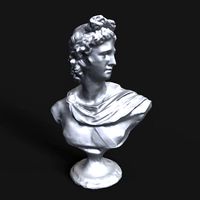 Apollo Belvedere bust | 3D