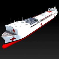 Hospital Ship USNS Comfort