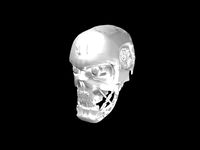 T800 Skull Terminator | 3D